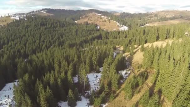 Foto aerea di strada nella foresta, montagne dei Carpazi, primavera — Video Stock