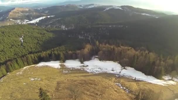 Foto aérea de bosque de coníferas en las montañas Cárpatos, primavera — Vídeos de Stock