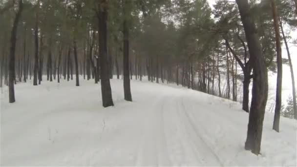 La caméra vole à travers la forêt hivernale avec du brouillard — Video