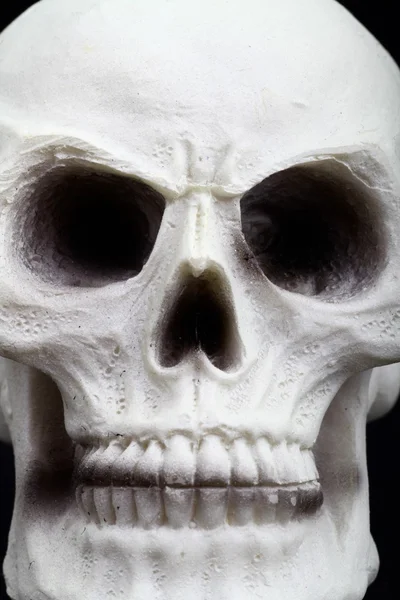 Closeup of an human skull — Stock Photo, Image