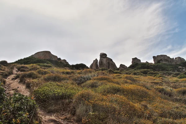 Meer und Felsen von Capo testa, Sardinen — Stockfoto