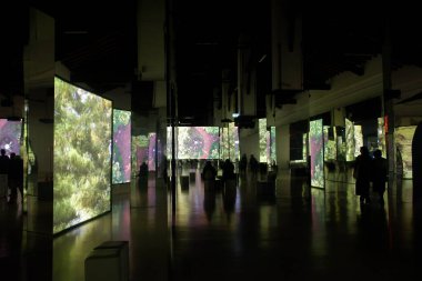 Mantua, İtalya - 26 Aralık 2025. Isaac Julien. Seni değiştiren her şey. Başkalaşım. Film Palazzo Te 'de çekildi. İki sanatçı göksel, kehanet ve diğer dünyevi varlıklar rolüne bürünür.