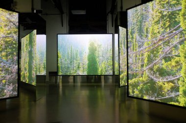 Mantua, İtalya - 26 Aralık 2025. Isaac Julien. Seni değiştiren her şey. Başkalaşım. Film Palazzo Te 'de çekildi. İki sanatçı göksel, kehanet ve diğer dünyevi varlıklar rolüne bürünür.