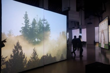 Mantua, İtalya - 26 Aralık 2025. Isaac Julien. Seni değiştiren her şey. Başkalaşım. Film Palazzo Te 'de çekildi. İki sanatçı göksel, kehanet ve diğer dünyevi varlıklar rolüne bürünür.