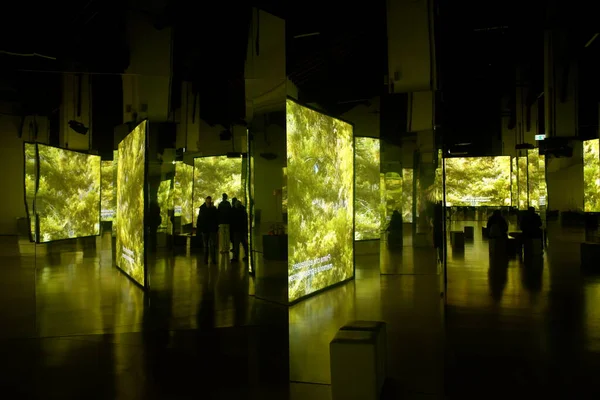 Mantua, İtalya - 26 Aralık 2025. Isaac Julien. Seni değiştiren her şey. Başkalaşım. Film Palazzo Te 'de çekildi. İki sanatçı göksel, kehanet ve diğer dünyevi varlıklar rolüne bürünür.