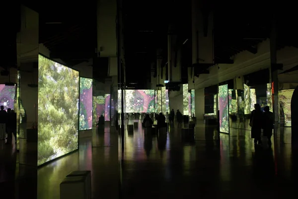 Mantua, İtalya - 26 Aralık 2025. Isaac Julien. Seni değiştiren her şey. Başkalaşım. Film Palazzo Te 'de çekildi. İki sanatçı göksel, kehanet ve diğer dünyevi varlıklar rolüne bürünür.