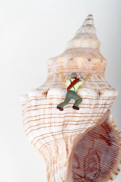 Miniatur eines Höhlenforschers, der den Hohlraum einer Muschel erkundet — Stockfoto