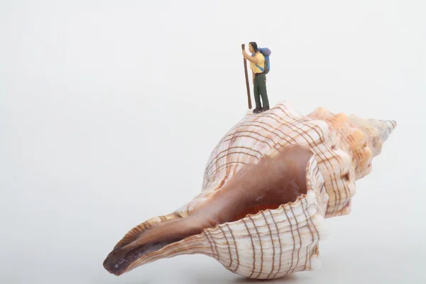 Miniatur eines Wanderers auf einer großen Muschel — Stockfoto