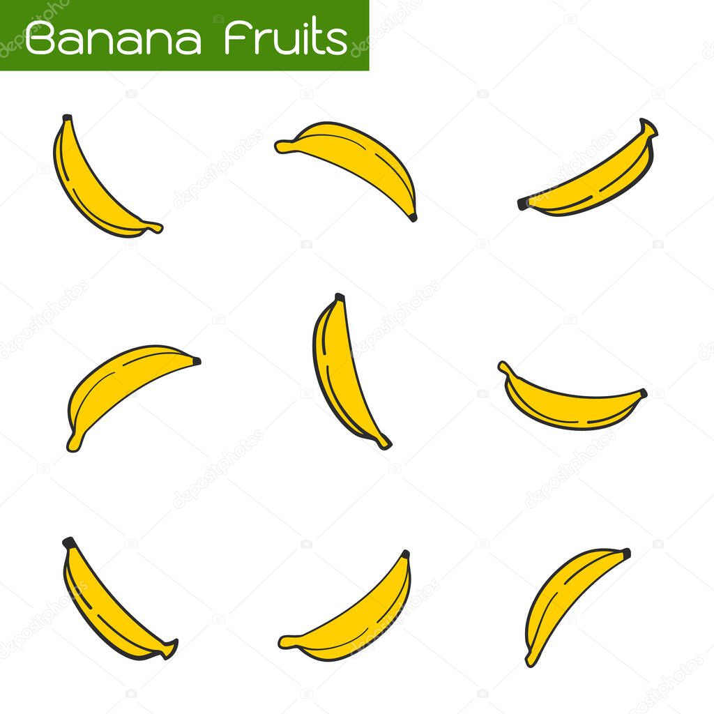 Tropical Fruits, Set of Fresh Ripe Bananas Isolated on White Background.