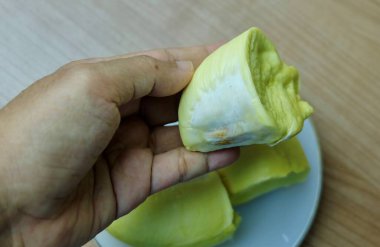 El Tutma Taze Krem Sarı Durian Pulp Bölümü