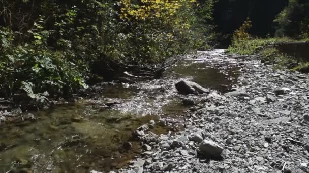 Folyó folyik át sziklák, a gyönyörű erdőben — Stock videók