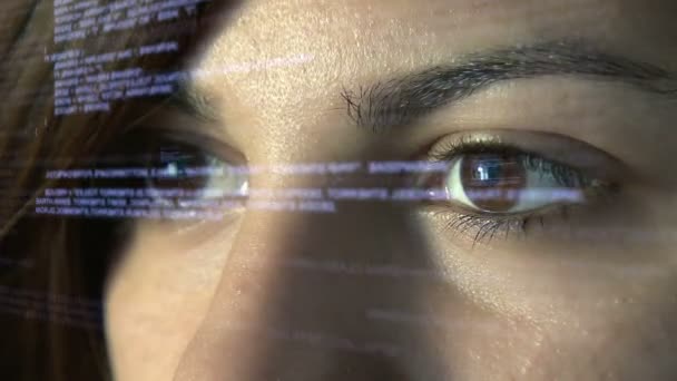 Datorprogrammerare kodning på futuristisk holografisk display — Stockvideo