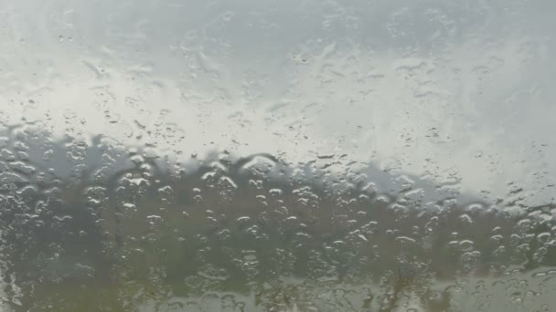 Primer plano de la lluvia que vierte sobre la ventana — Vídeo de stock