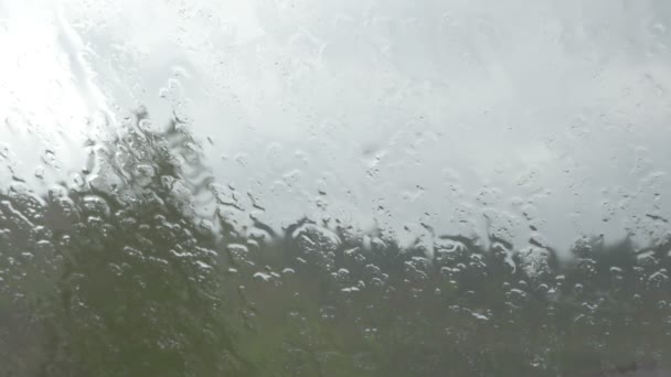 Primer plano de la lluvia que vierte sobre la ventana — Vídeos de Stock