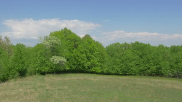 Heuvels en bos - pannen verkeer — Stockvideo