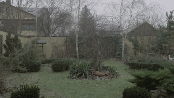 开始下雪-雪落在后院-4 k — 图库视频影像