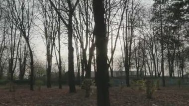 Gün batımında parkta güzel bir sahne ile sonbahar
