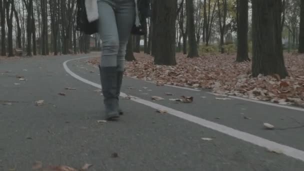 Mujer joven caminando por el callejón en el parque — Vídeos de Stock