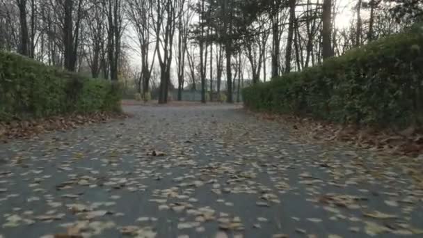 Herbst im Park mit schöner Landschaft — Stockvideo