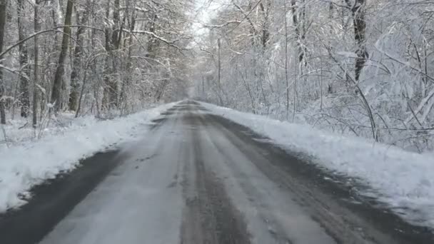 Bos in de winter lopen op een weg in de sneeuw bedekt — Stockvideo