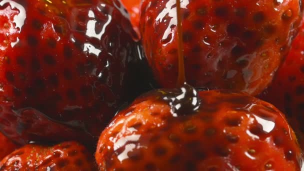 Νόστιμα λιωμένο σιρόπι σοκολάτας ρίχνει πάνω από τις φράουλες — Αρχείο Βίντεο