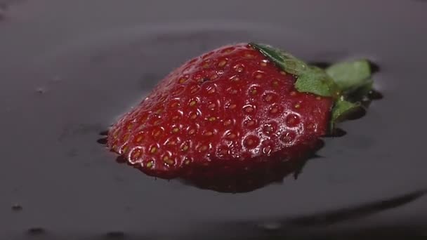 Gros plan de délicieuses fraises tombant dans du sirop de chocolat — Video