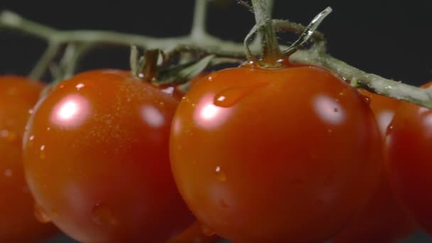 Primer plano de tomates cherry girando en un plato — Vídeos de Stock