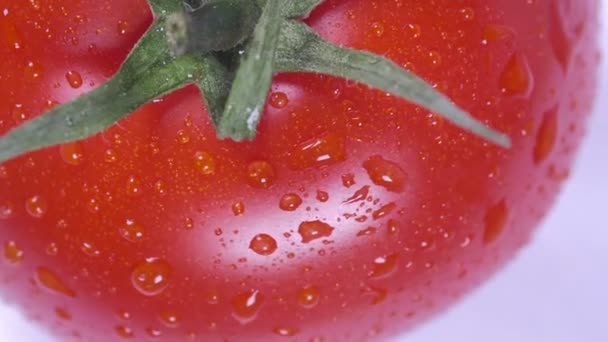 Крупним планом смачний червоний помідор, що обертається — стокове відео