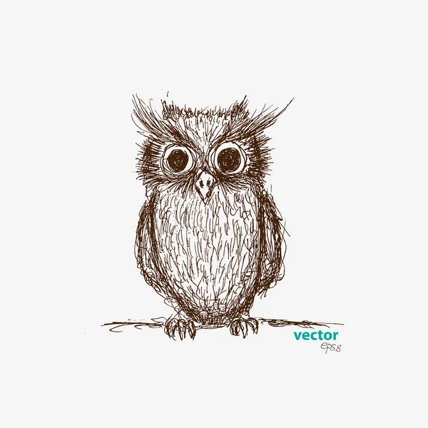 Illustration de hibou dessinée à la main vectorielle Vecteur En Vente