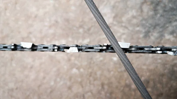 Chainsaw chain sharpening with a round file. Closeup macro view. Forestry or arborist concept.