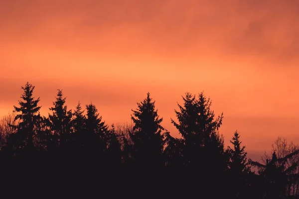 Червоне Небо Хмари Над Лісом Сонячний Ранок Драматичне Червоне Небо — стокове фото