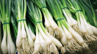 Bir yığın taze yeşil bitkiyi kapat. Yeşil soğanlar, bağlanmış demetler. Pazarlarda taze sebzeler. 16x9