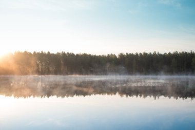 Ormanda soğuk bir yaz sabahı. Göl, orman yansıması ve su yüzeyinde sis..