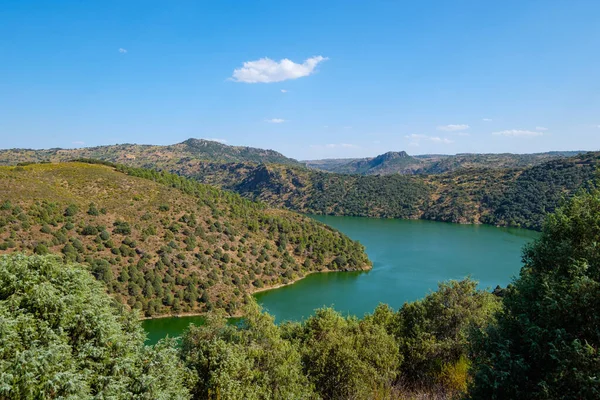 Mogadouro Portekiz Ağustos 2021 Douro Nehri Uçurumları Portekiz Spanya Arasındaki — Stok fotoğraf