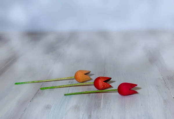 Kırsal bir arkaplan üzerinde ahşap laleler Bokeh efektleri ve kopyalama alanı