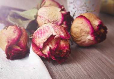 Masanın üzerine kurutulmuş gül goncası