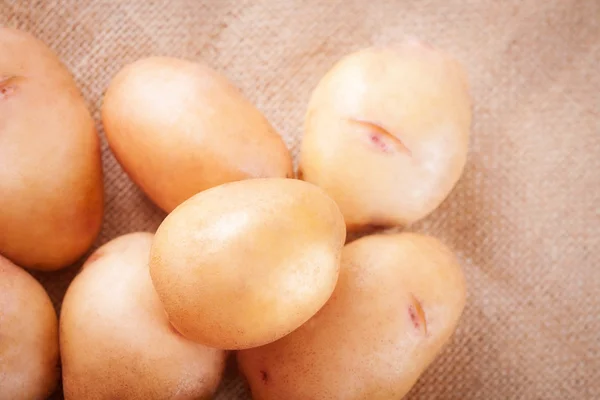 Aardappelknollen op een tabel-close-up — Stockfoto