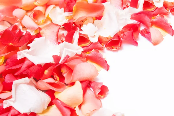 Фон лепестков роз — стоковое фото