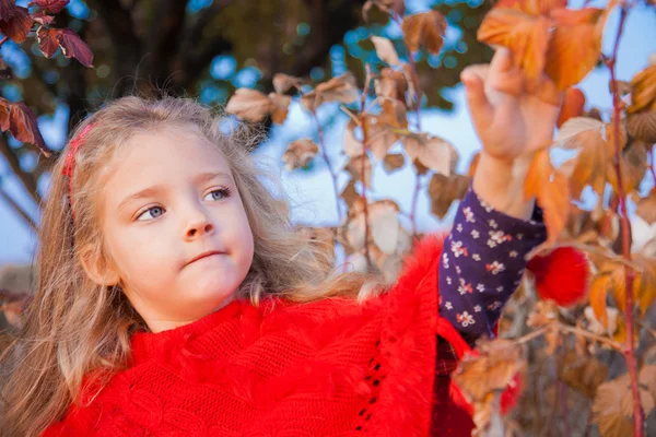 Ragazza in un giardino per toccare le foglie — Foto Stock