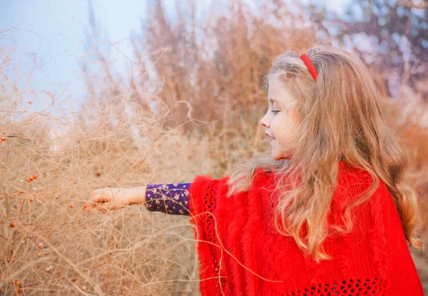 Mädchen auf dem Feld, um die Beeren zu berühren — Stockfoto