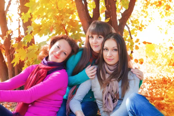 Três amigos no fundo das folhas de outono — Fotografia de Stock