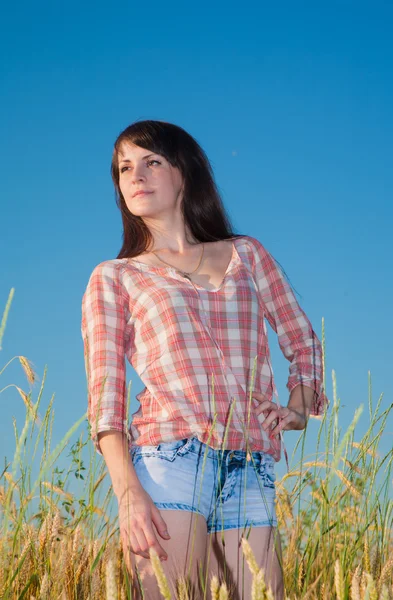 Mooie brunette in een veld — Stockfoto