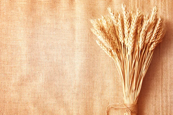 Облямівка пшеничних вух на тлі мішковини — стокове фото