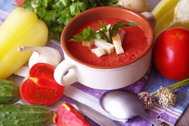 Gazpacho çorbası sebzeli