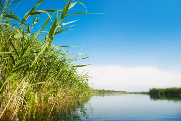 夏天阳光灿烂的日子河道景观 — 图库照片