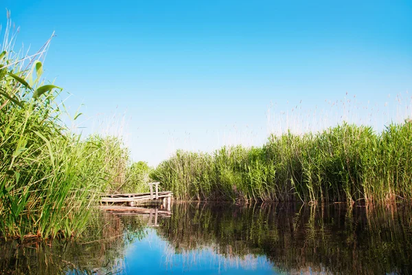 Paisaje fluvial en verano día soleado — Foto de Stock