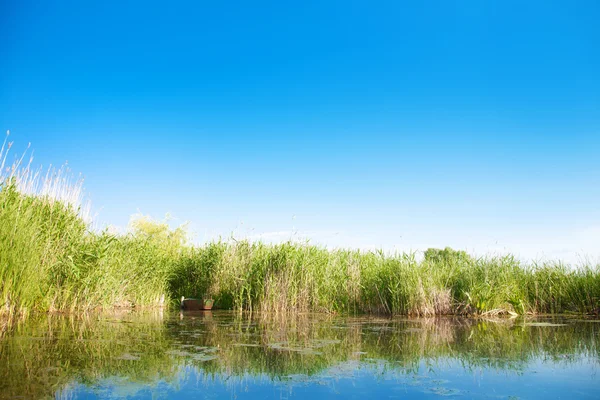 Paysage fluvial en été journée ensoleillée — Photo