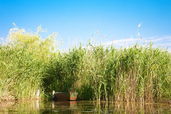 Paisaje fluvial en verano día soleado — Foto de Stock