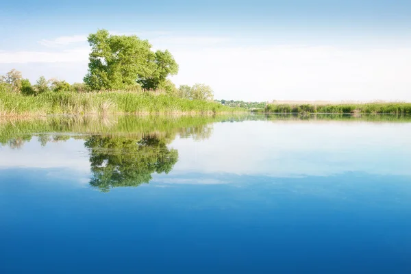 Paisaje con un lago — Foto de Stock