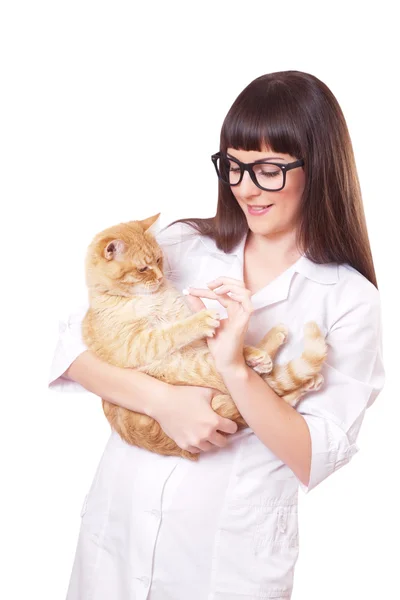 Potret seorang wanita cantik memegang kucing merah — Stok Foto